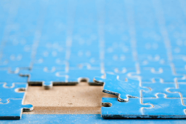 18 نکته کلیدی برای عادت دادن عروس هلندی به صاحب جدید در 5 مرحله