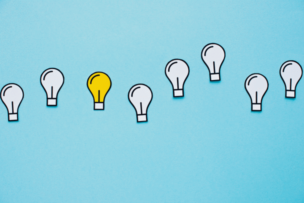 19 نکته ضروری برای خرید لوازم حیوانات خانگی که باید بدانید!